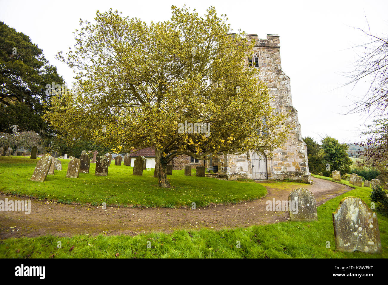 Crowhurst Village Scenes. Church. Yew Tree. Station. Oaks. A lovely