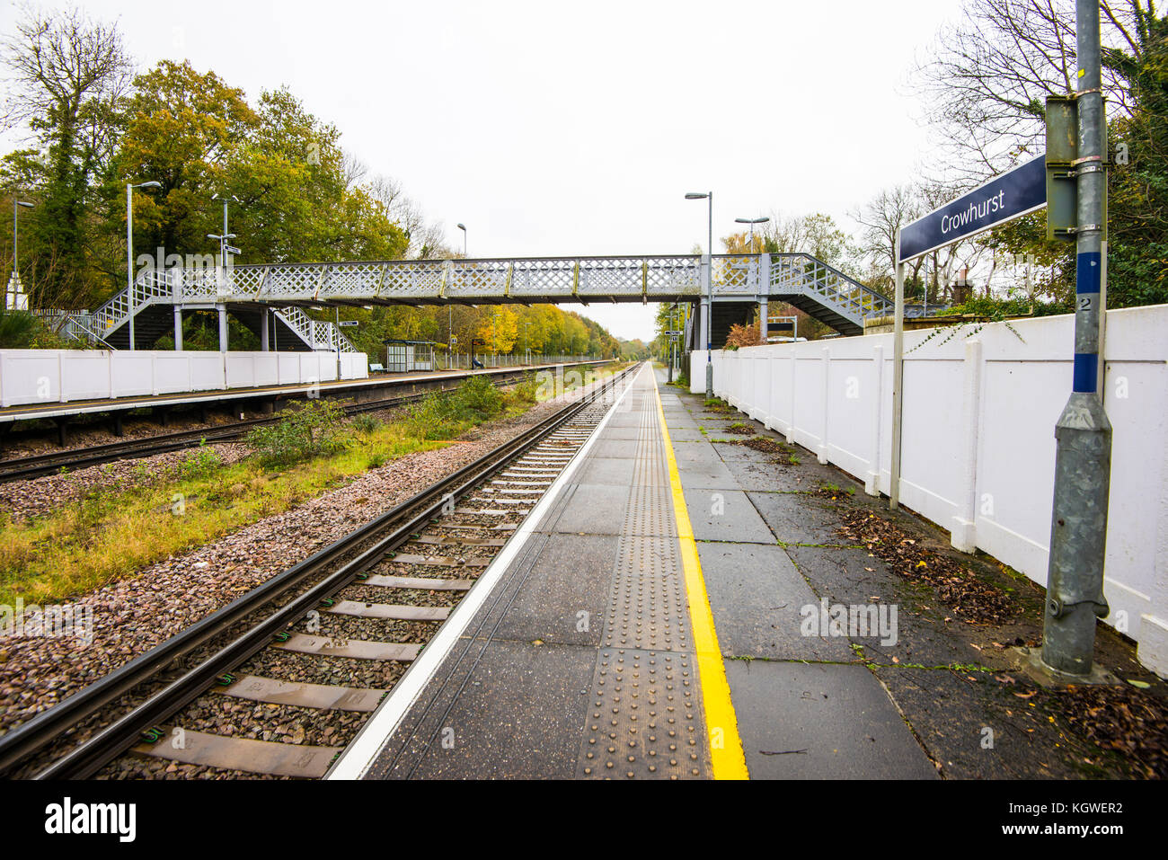 Crowhurst Village Scenes. Church. Yew Tree. Station. Oaks. A lovely