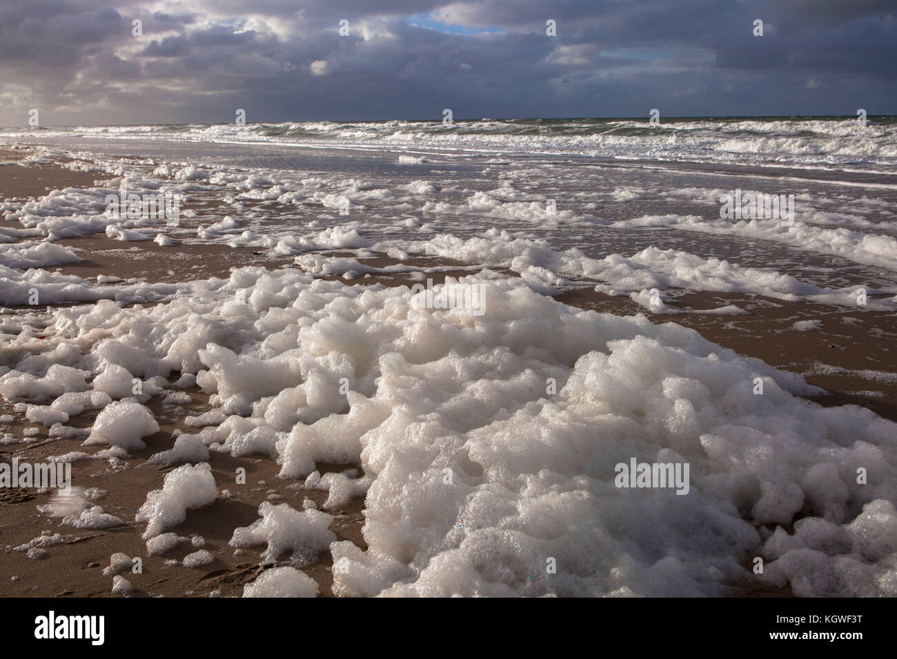 Netherlands, Zeeland, foam caused by the death of algae blooms on the beach between Oostkapelle and Domburg on the peninsula Walcheren  Niederlande, Z Stock Photo