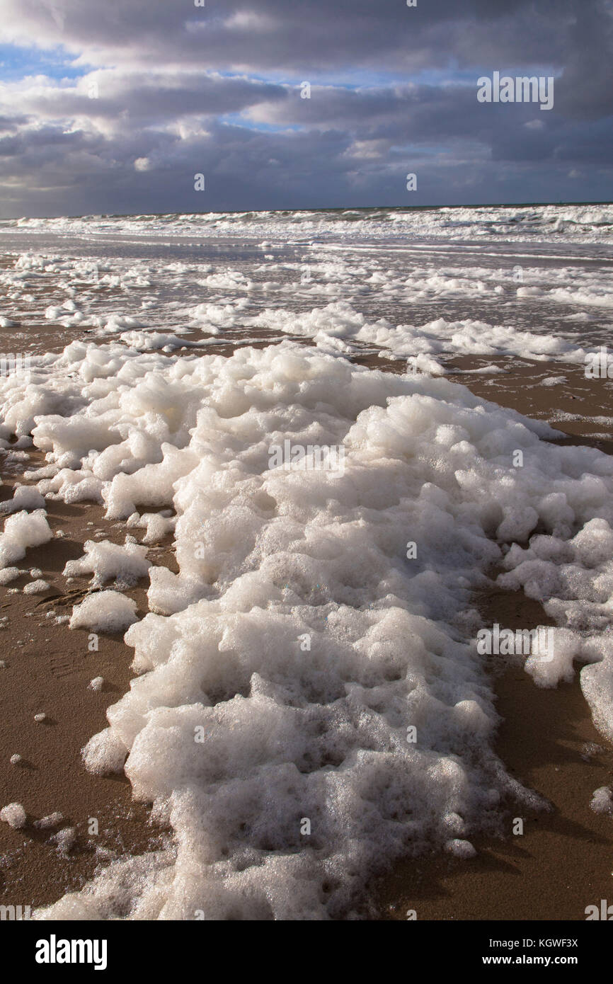 Netherlands, Zeeland, foam caused by the death of algae blooms on the beach between Oostkapelle and Domburg on the peninsula Walcheren  Niederlande, Z Stock Photo