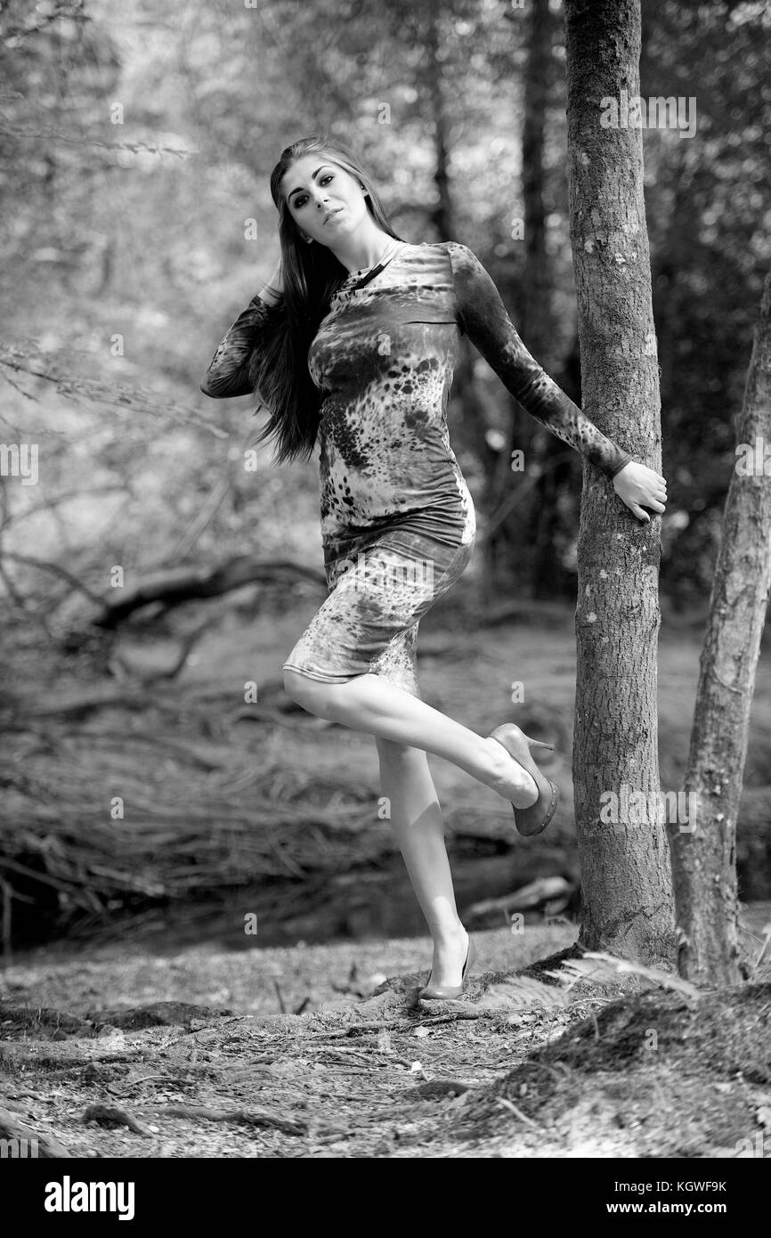 Beautiful girl wearing a dress - in a forest location Stock Photo - Alamy