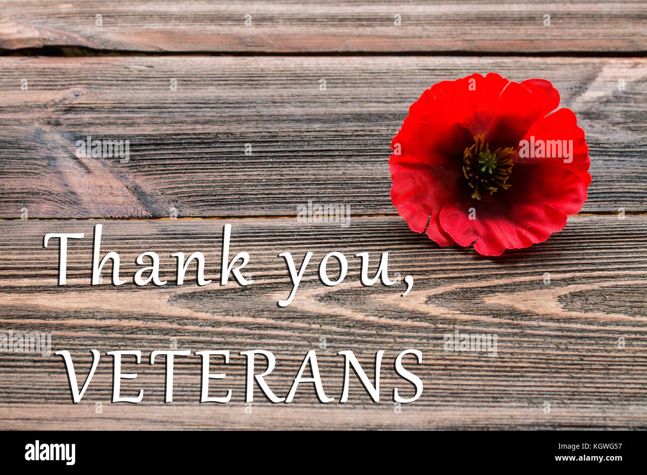 Veterans day poppy usa