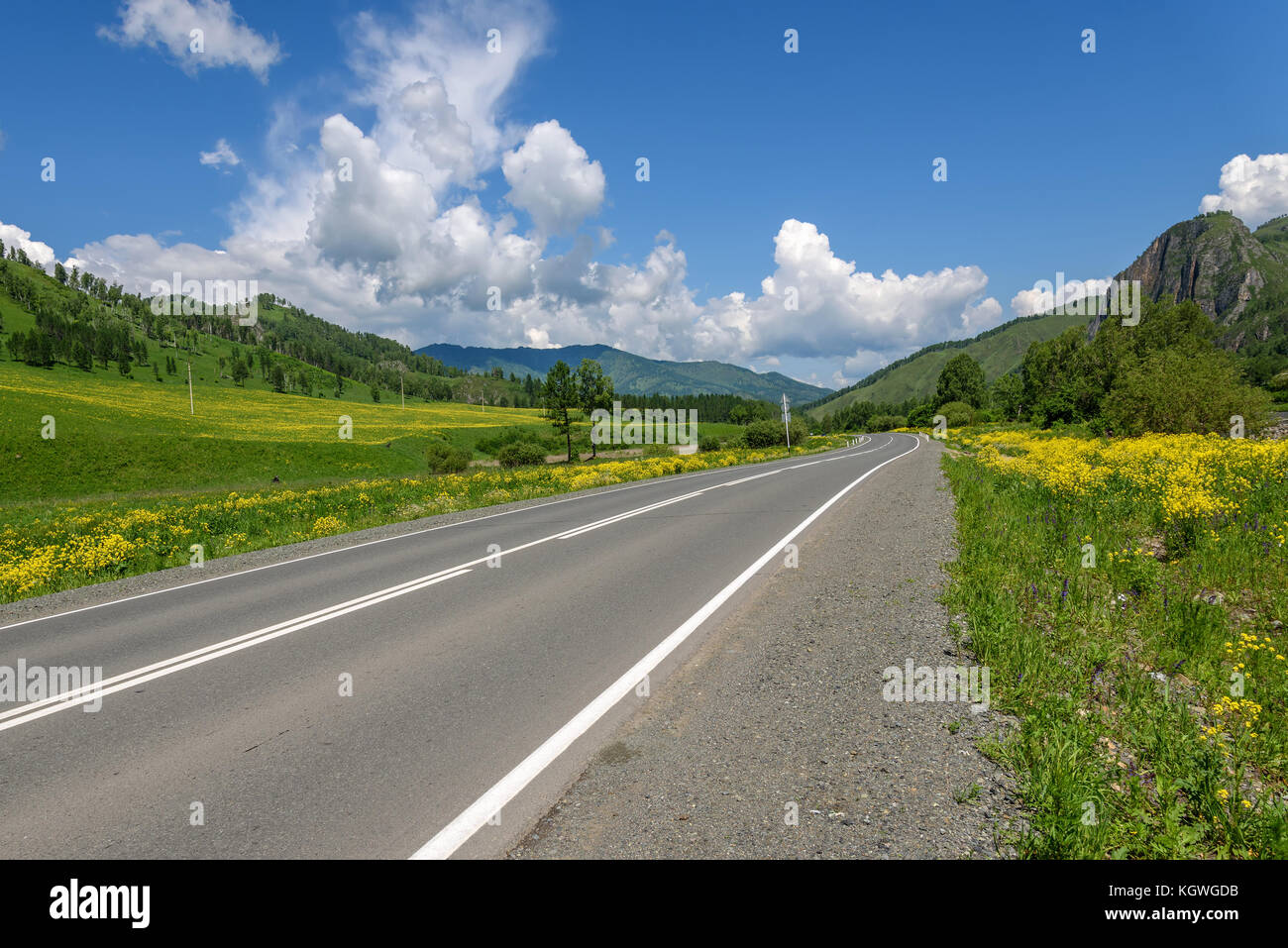 Roadside view green grass background hi-res stock photography and images -  Alamy