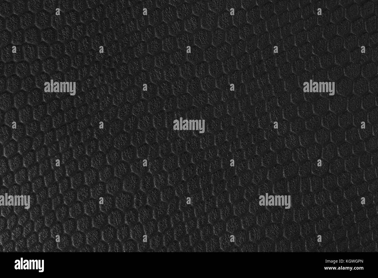 Ostrich Skin Leather Stock Photos & Ostrich Skin Leather Stock Images Alamy