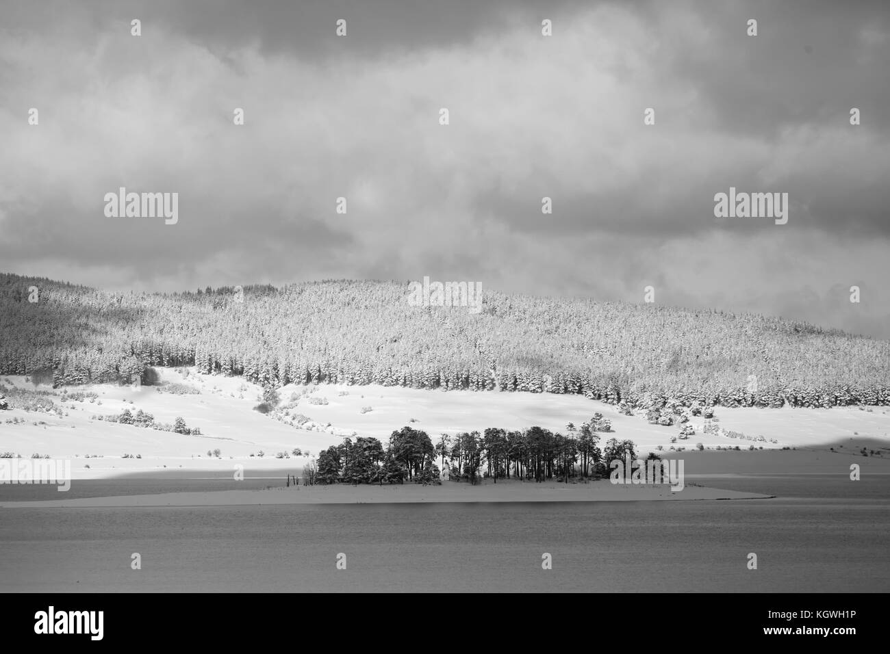 black and white winter nature landscape with lake small island Stock Photo