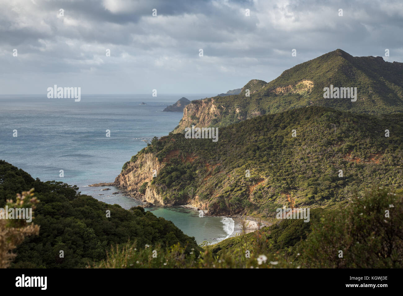 Great Barrier Island Stock Photo Alamy