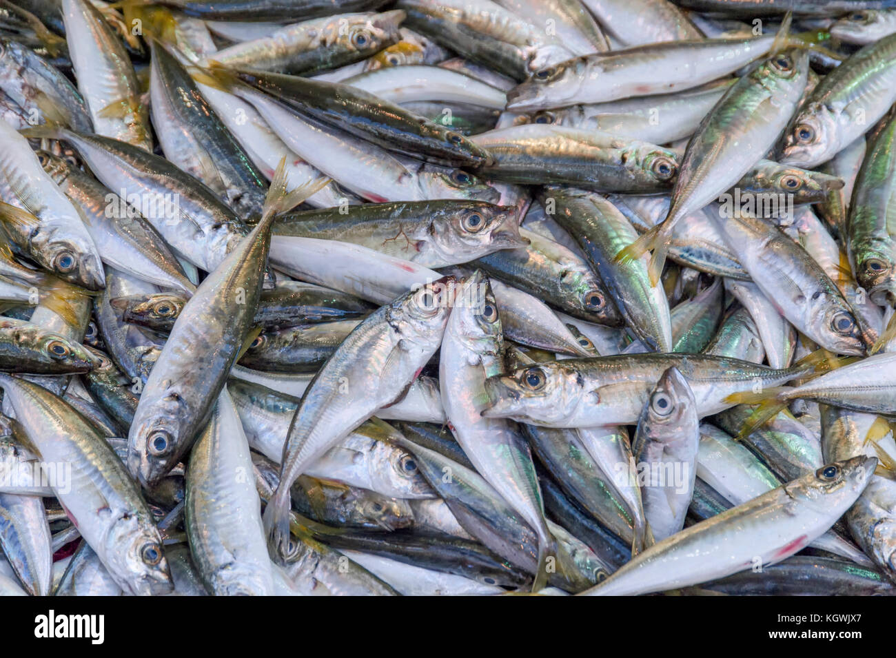 Istanbul fish market hi-res stock photography and images - Alamy