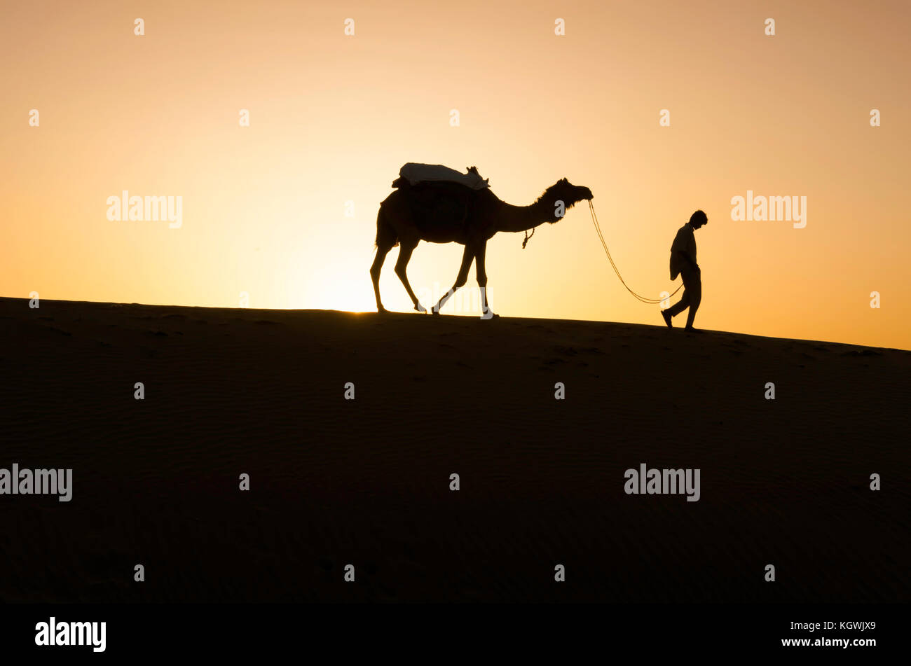 Silhouette of camel driver leading camel on sand ridge Stock Photo