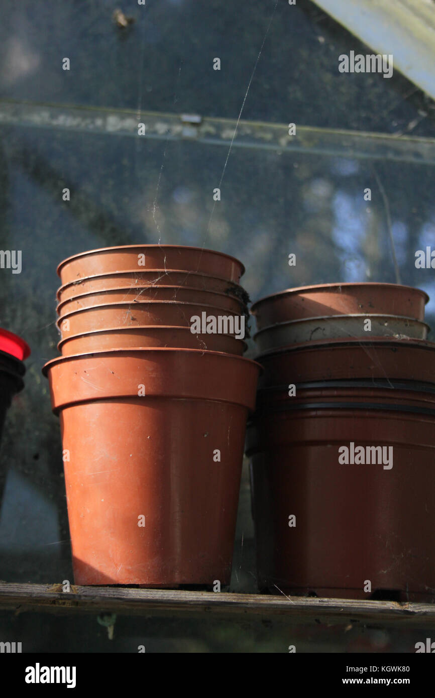 old plastic plant pots sitting on a greenhouse shelf in a sunny early
