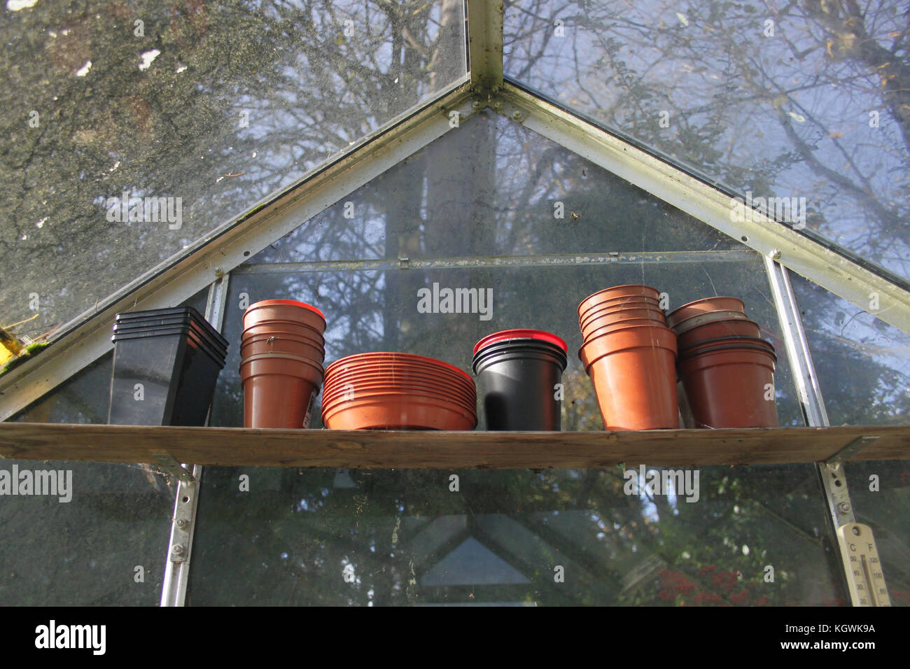 old plastic plant pots sitting on a greenhouse shelf in a sunny early