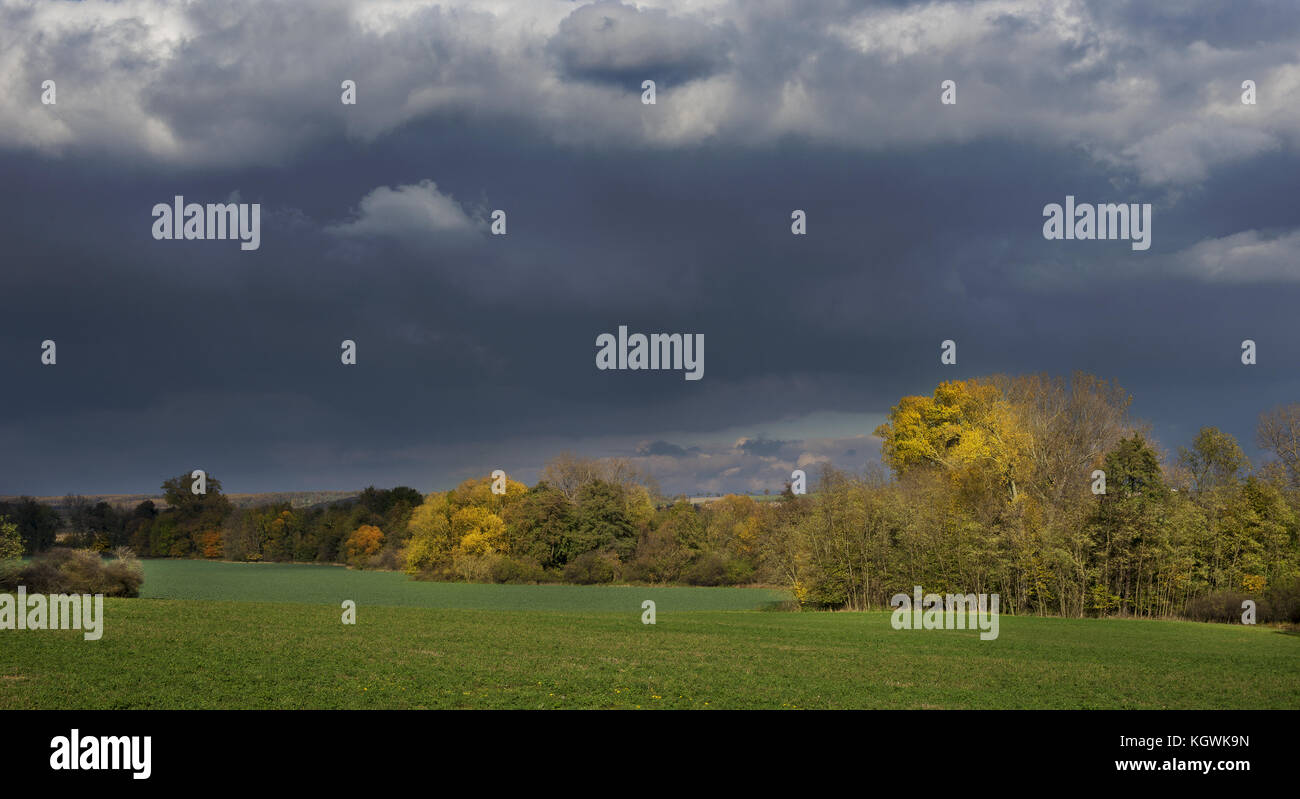 Stormy dark clouds over the trees and field. The fall scene Stock Photo ...