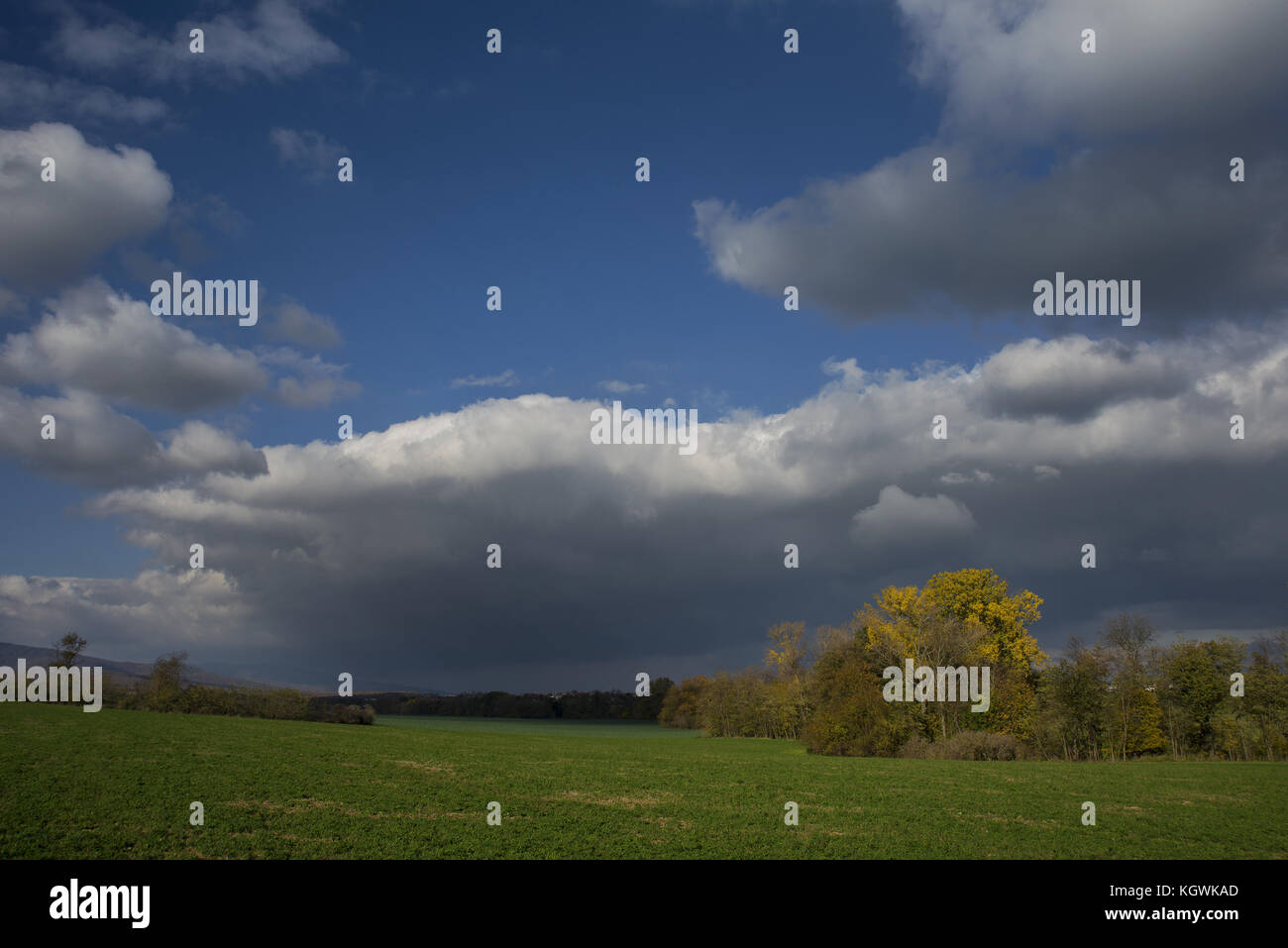 Stormy dark clouds over the trees and field. The fall scene Stock Photo ...