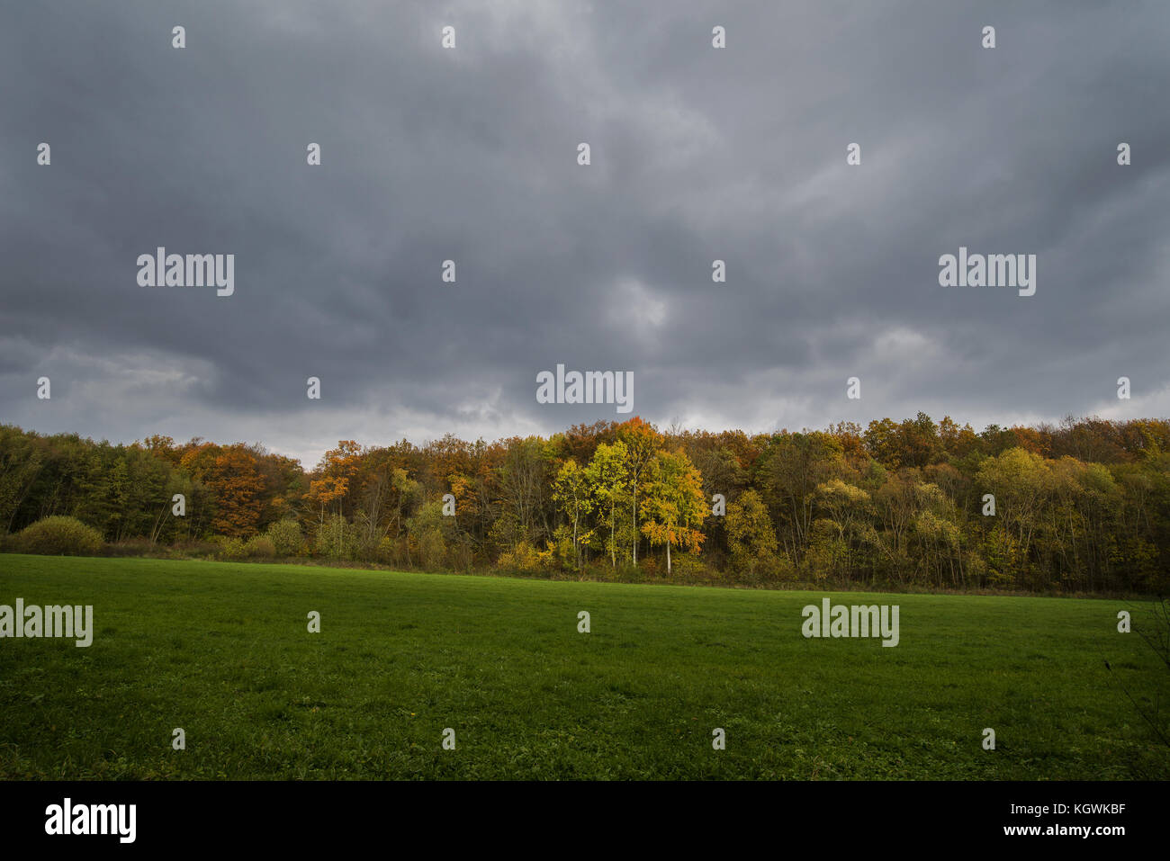 Stormy dark clouds over the trees and field. The fall scene Stock Photo ...