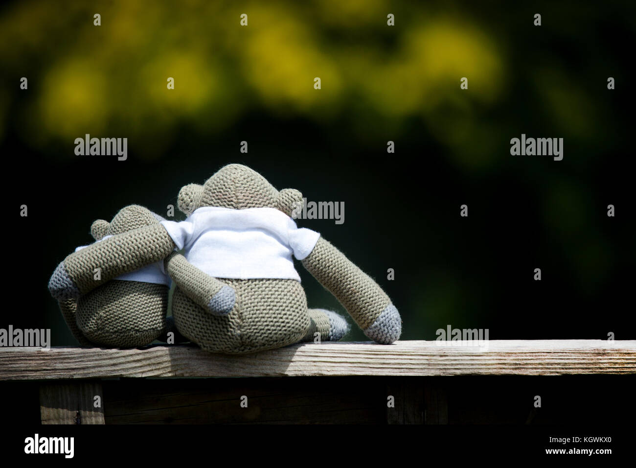 Two toy monkeys, one larger than the other, sat cuddling on a wooden bench with their arms around each other Stock Photo