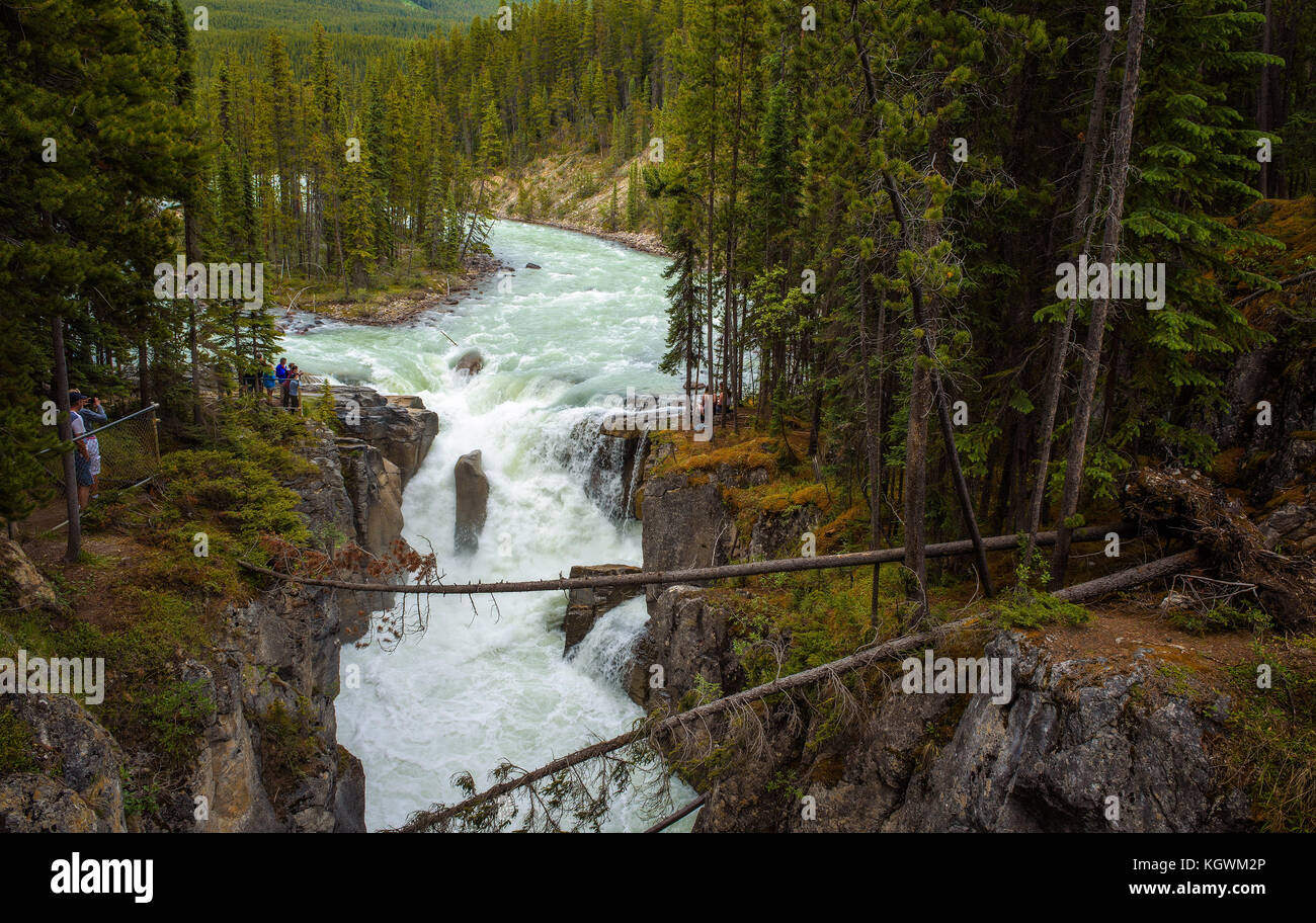 Sunwapta Falls in Jasper National Park, Canada Stock Photo