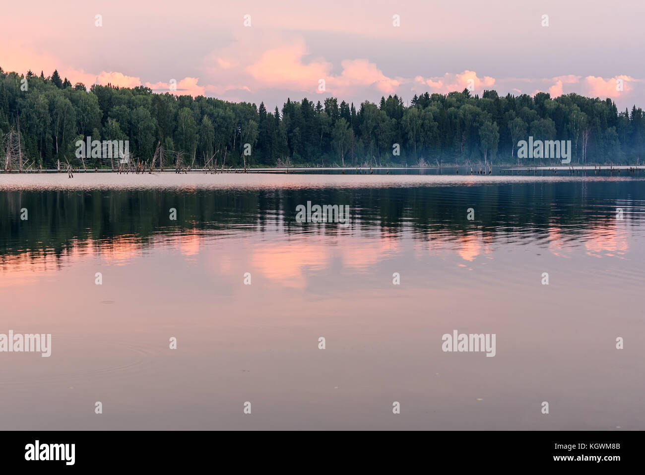 Scenic delicate pink sunset on the lake with beautiful clouds and trees ...