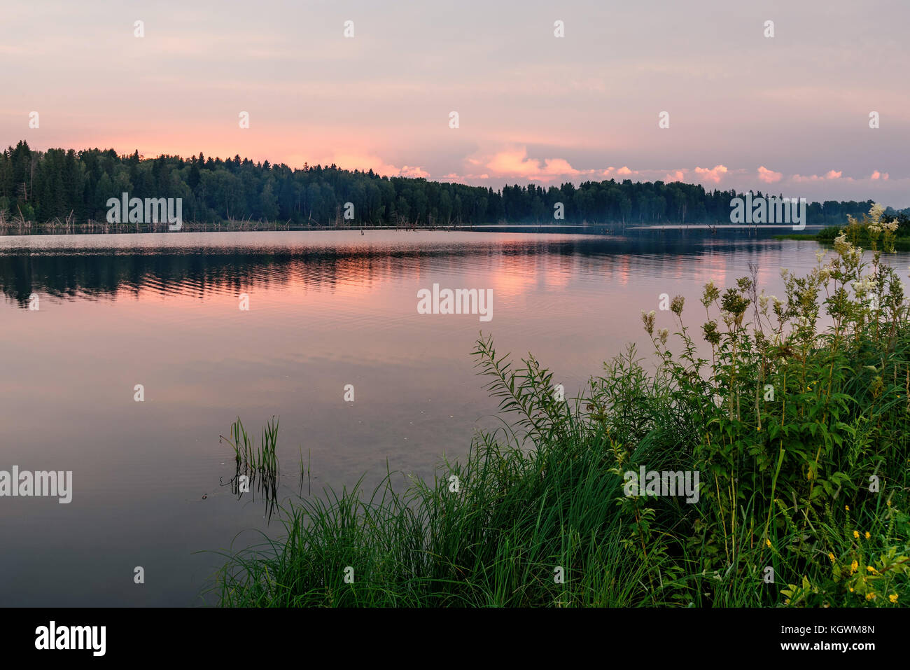 Scenic delicate pink sunset on the lake with beautiful clouds and trees ...