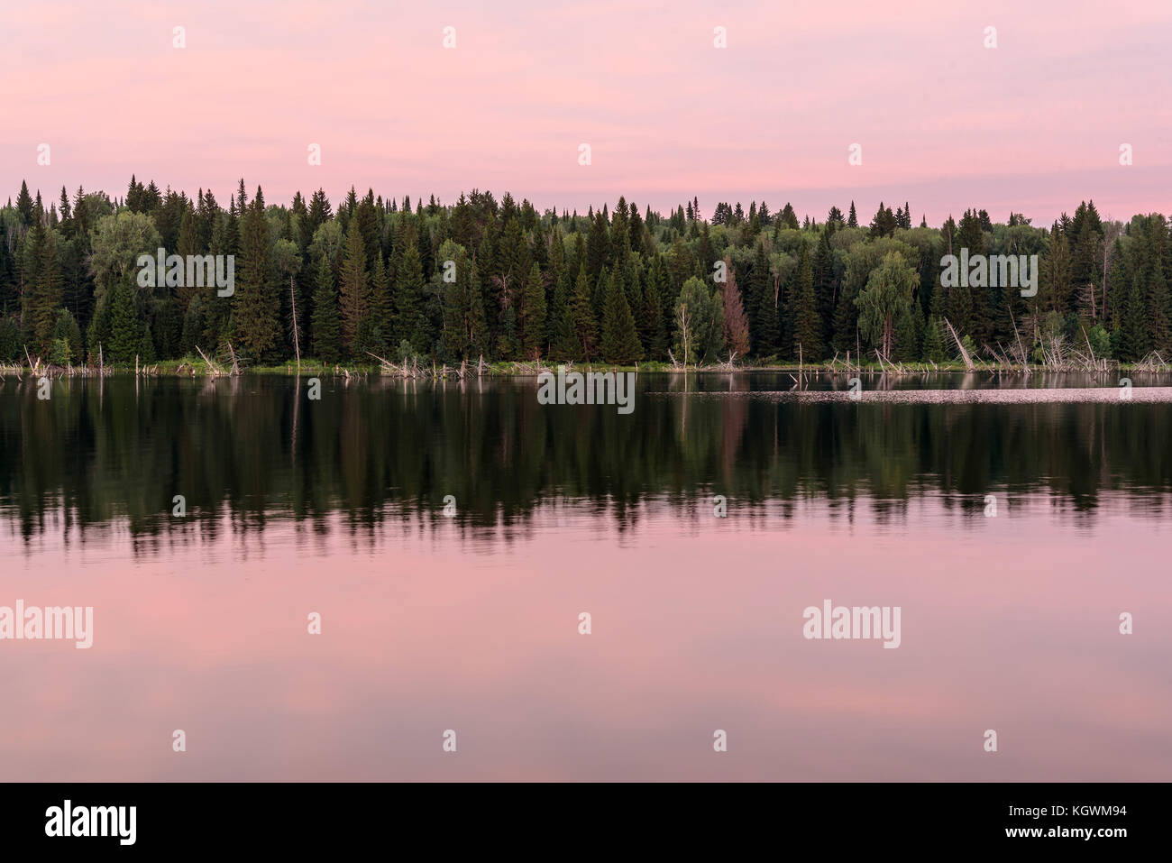 Scenic delicate pink sunset on the lake with beautiful clouds and trees ...