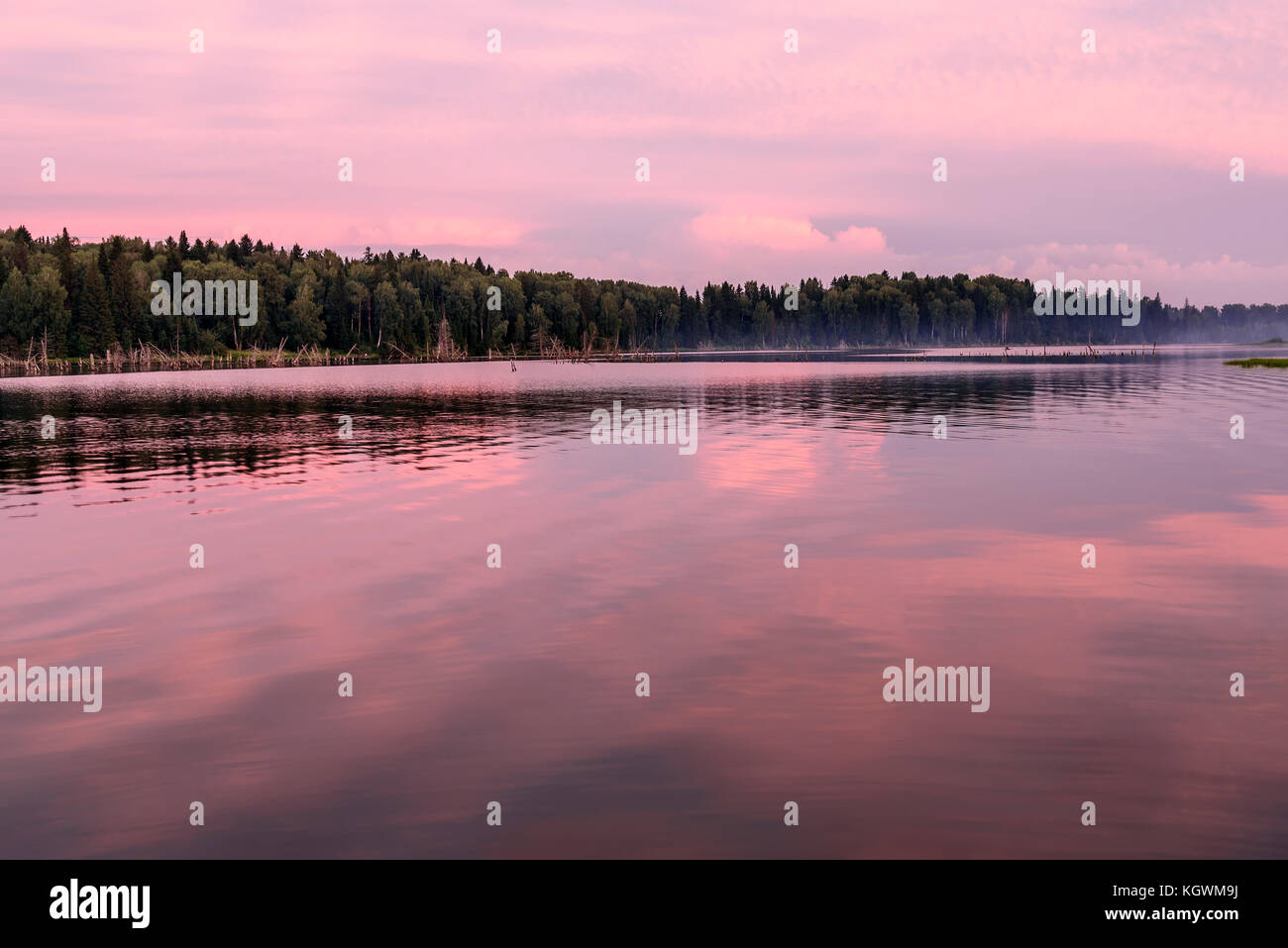 Scenic delicate pink sunset on the lake with beautiful clouds and trees ...
