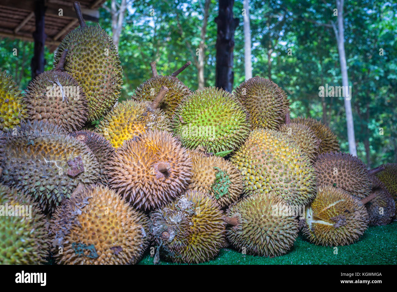 Papaya, pineapple, jackfruit, mango, muffin, leaf,rattan, durian Stock