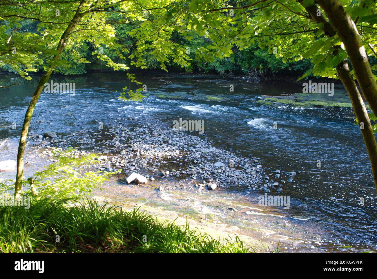 River Ayr, Failford, Ayrshire,Scotland Stock Photo Alamy