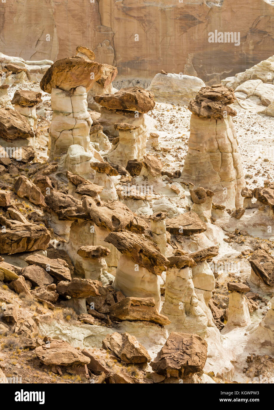 Brown, white and red layers of Entrada sandstone mix and create strage hoodoos at the Rimrocks area of Grand Staircase Escalante National Monument, Ut Stock Photo