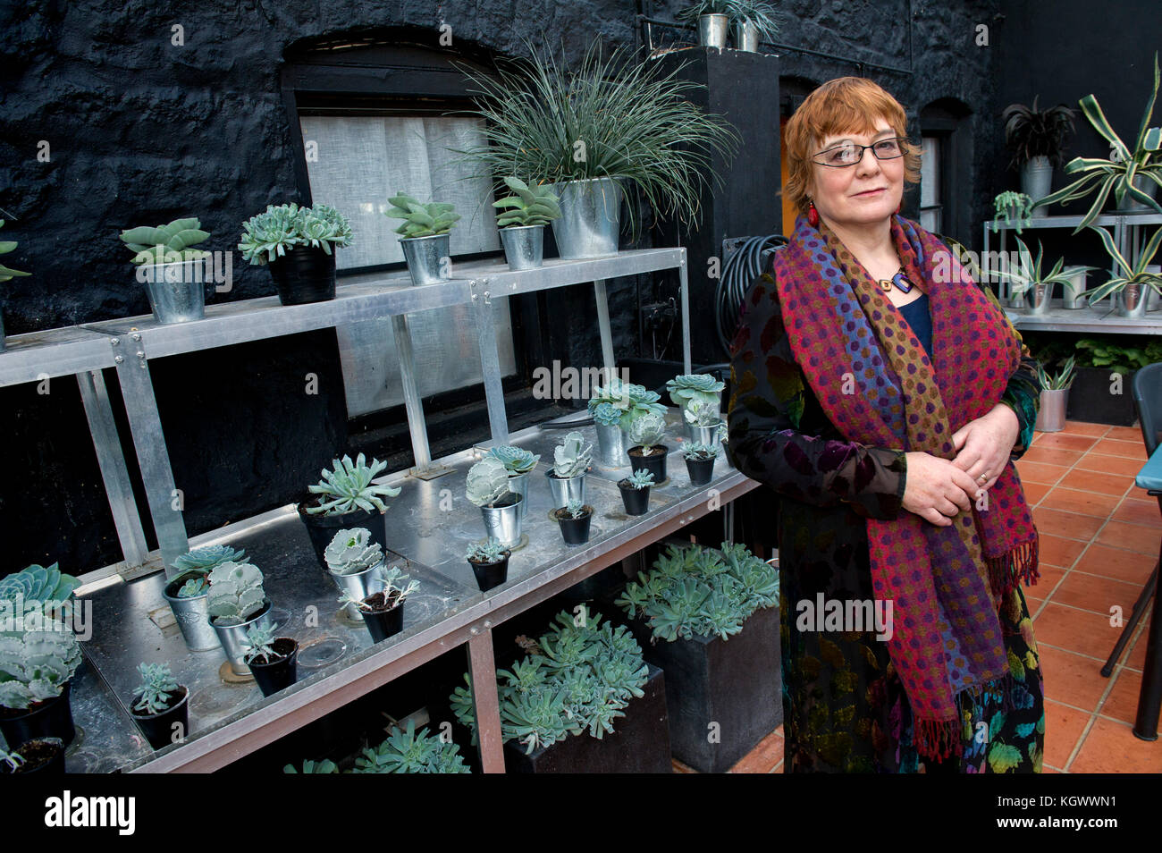 Gardening writer Anne Wareham in her conservatory, at her home in Devauden, Monmouthsire. Stock Photo
