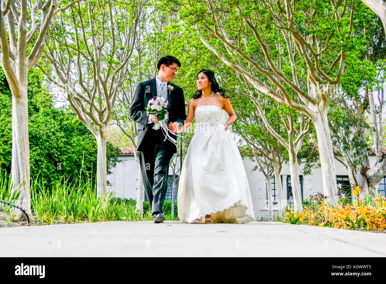 Bride and groom holding hands and walking toward the viewer outside green trees on both side of path Stock Photo