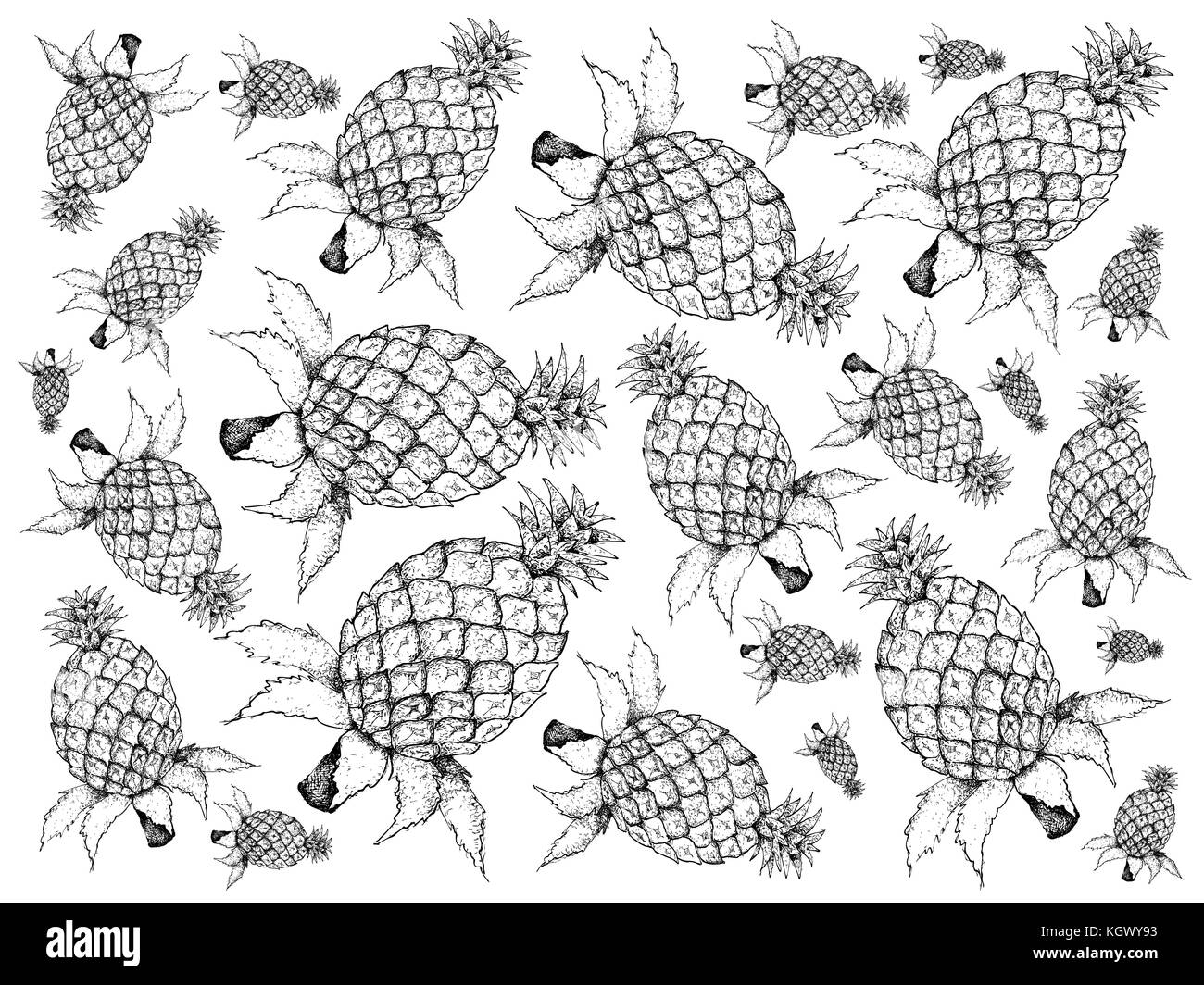 Fresh Fruits, Illustration Background Pattern of Hand Drawn Sketch ...