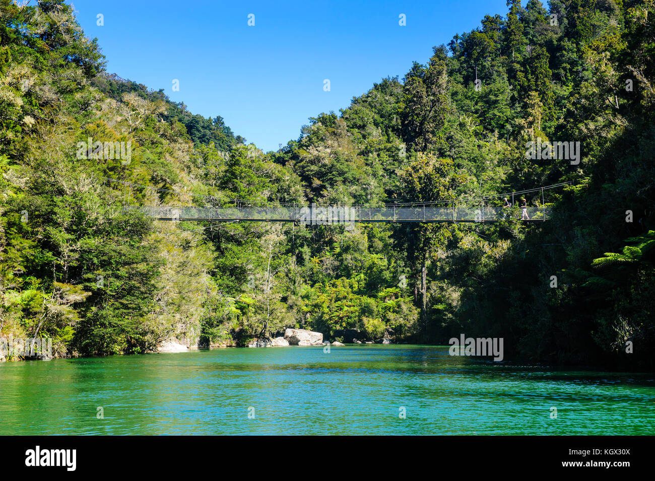 Swinging Bridge Abel Tasman National Park South Island