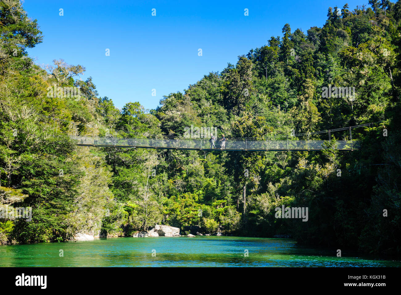 Swinging Bridge Abel Tasman National Park South Island