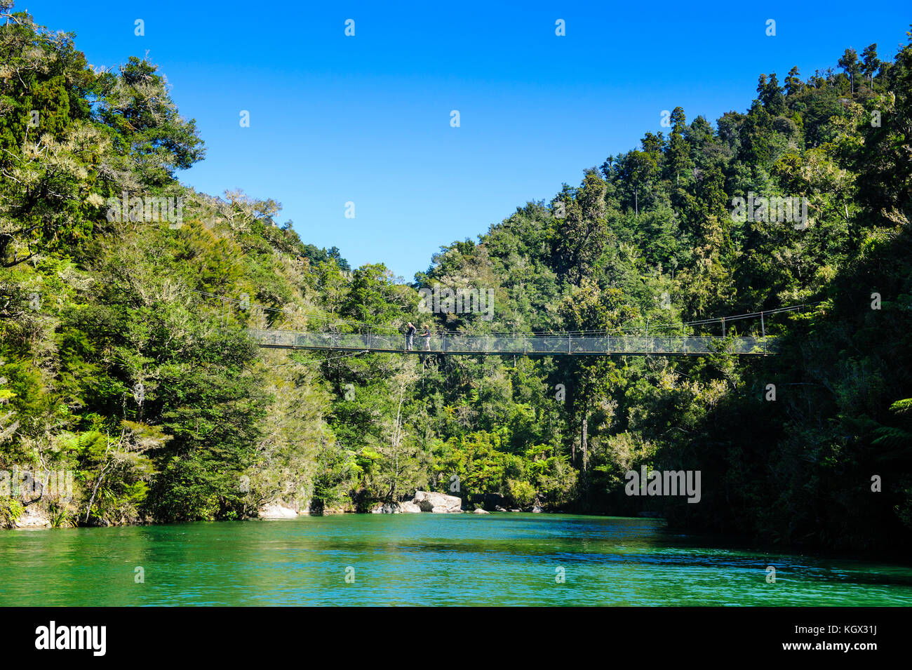 Swinging Bridge Abel Tasman National Park South Island