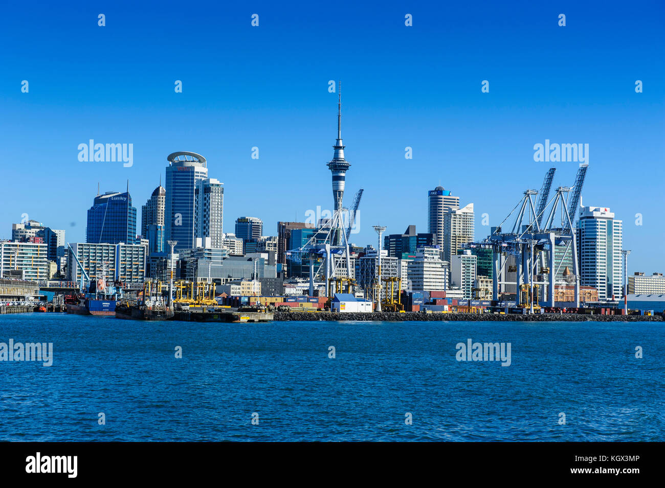 Skyline of Auckland, New Zealand Stock Photo - Alamy