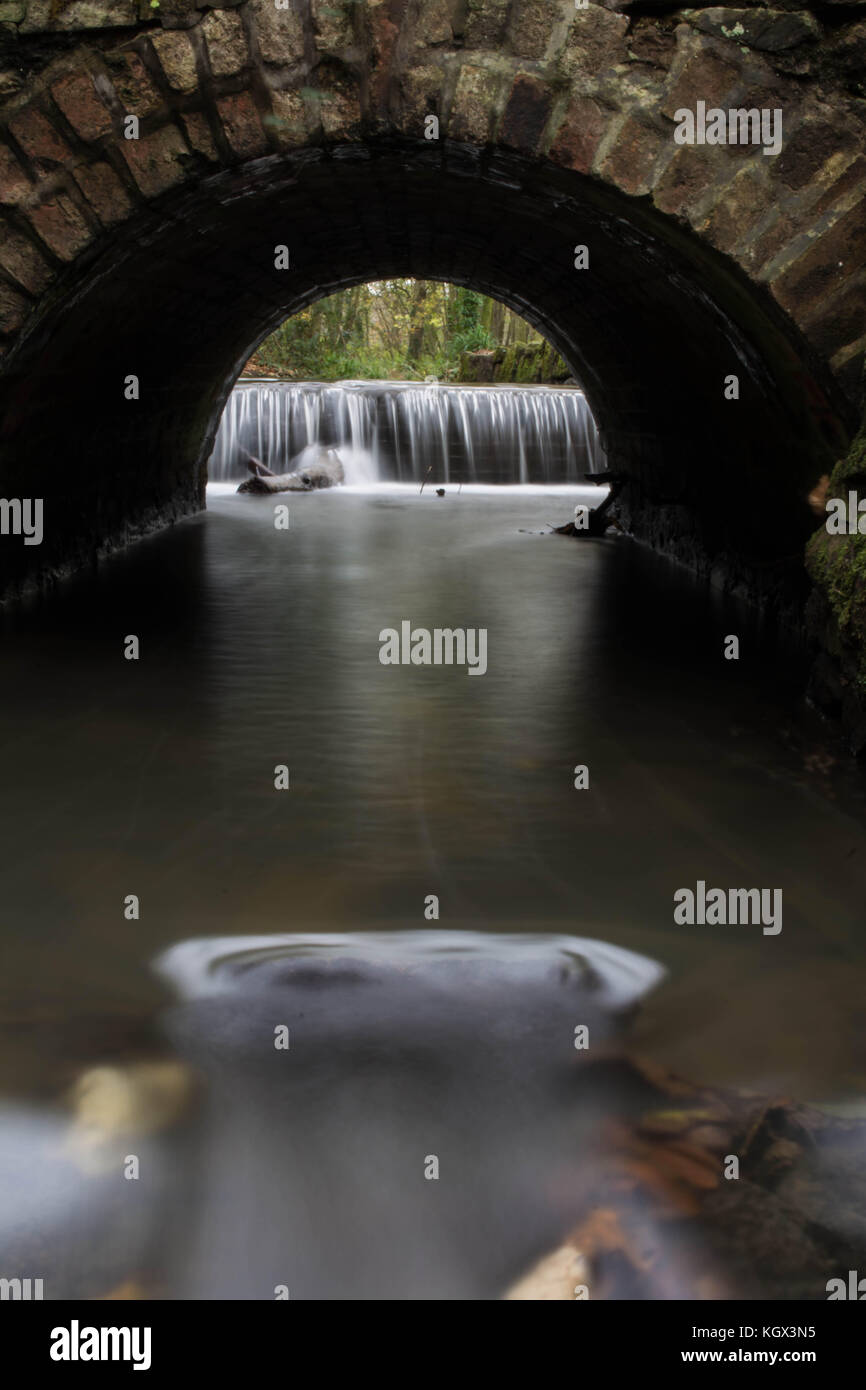 Water Under the Bridge - Tehidy, Cornwall, UK Stock Photo