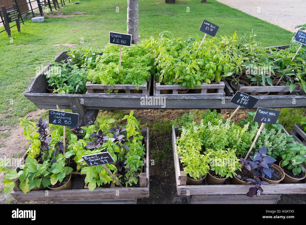 Daylesford Organic near Kingham, Gloucestershire, UK Stock