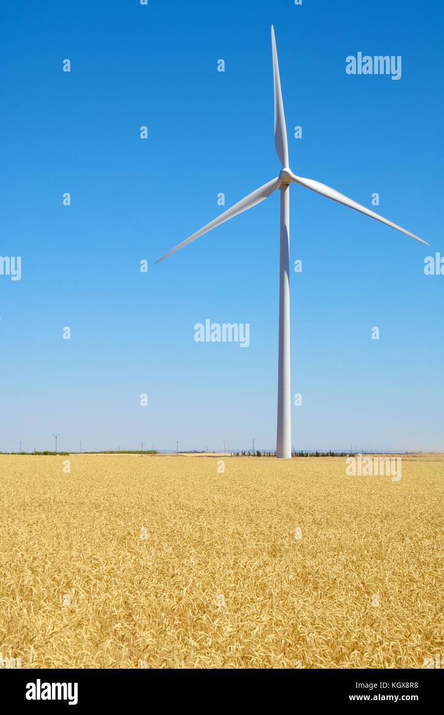 windmills for  electric power production, El Buste, Zaragoza, Aragon, Spain Stock Photo