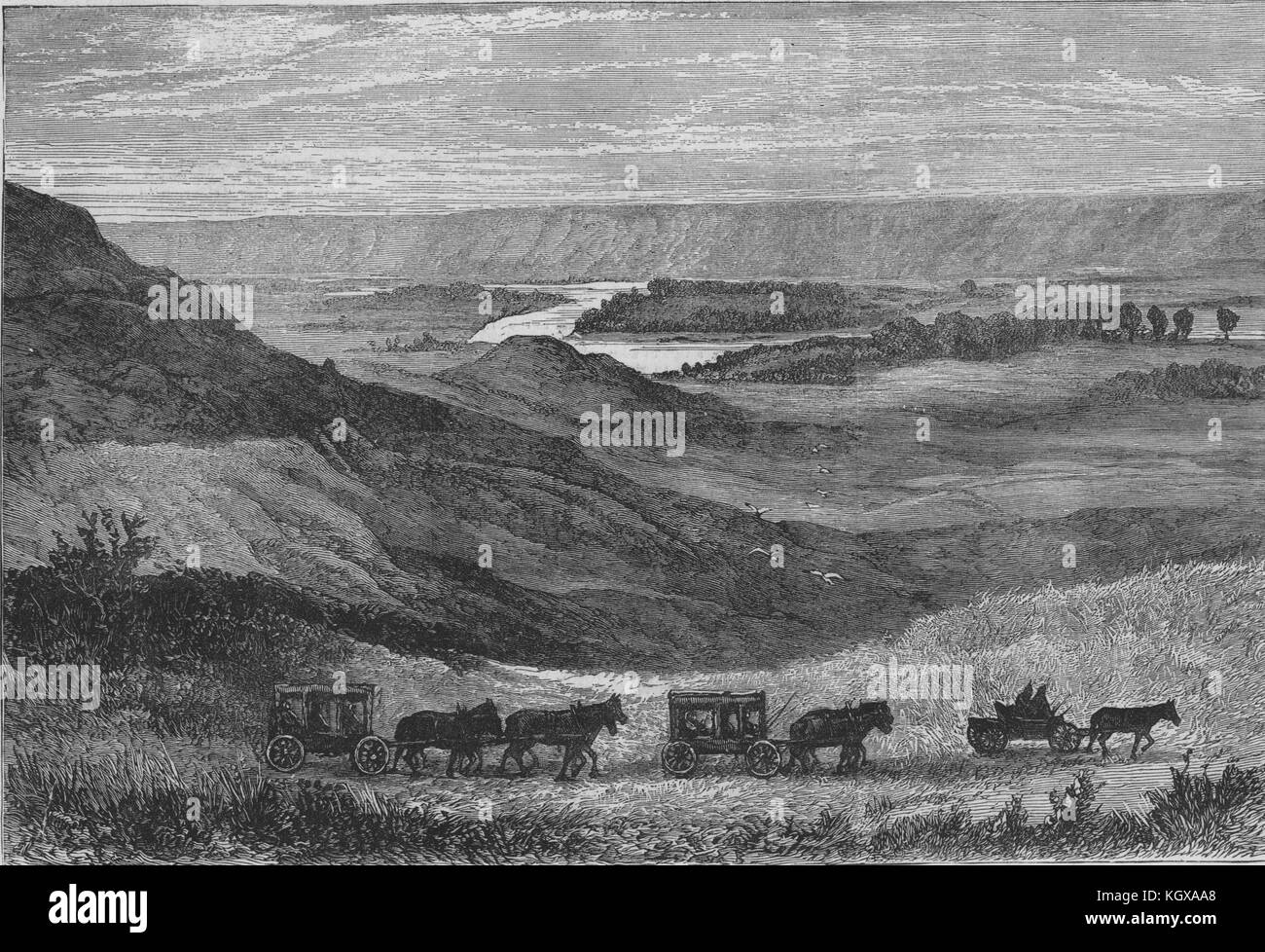 north face gucci snowsuit