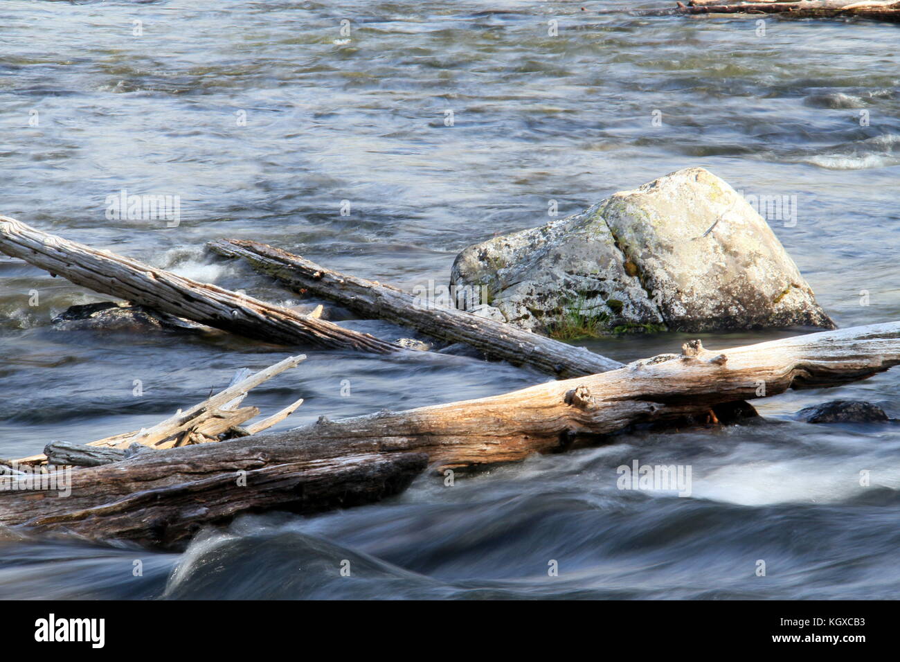 Does All Wood Float In Water at Rocky Collett blog