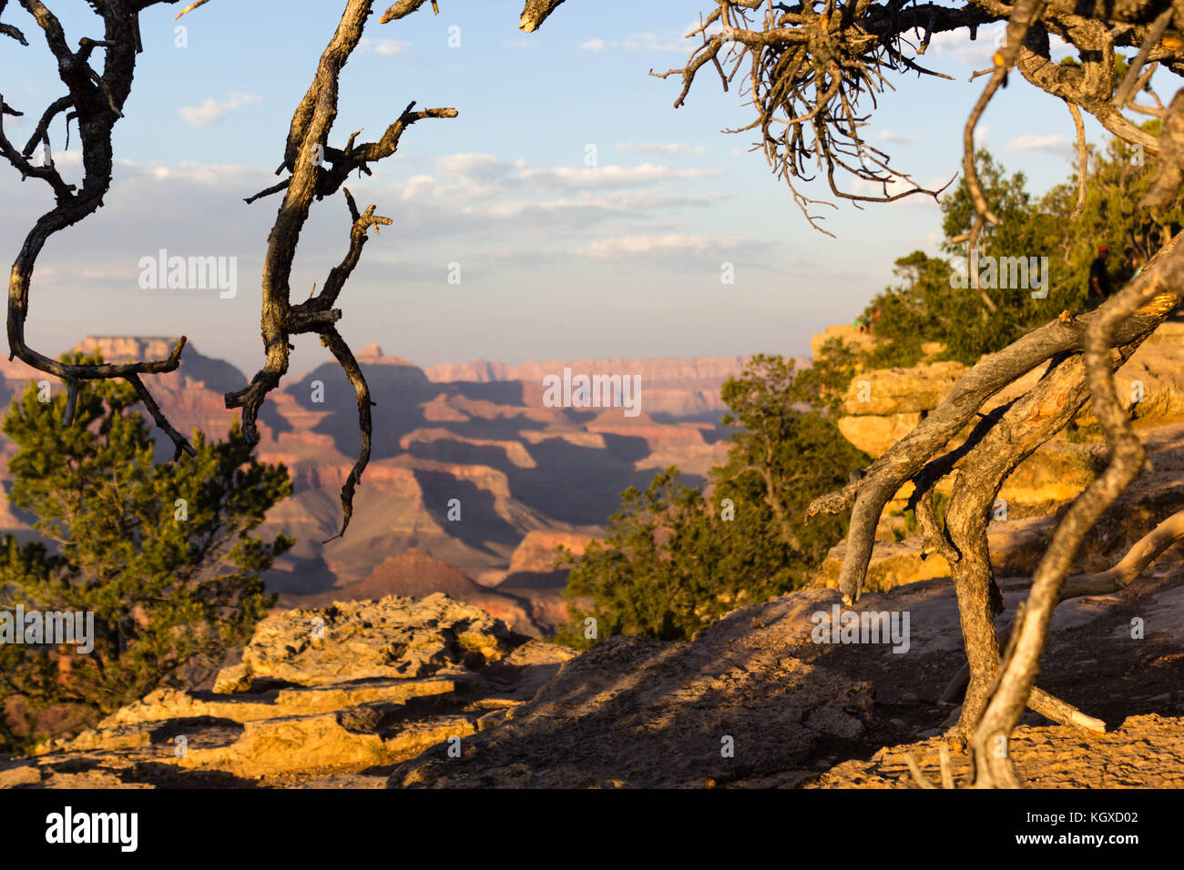 Golden hour over Grand Canyon Stock Photo - Alamy