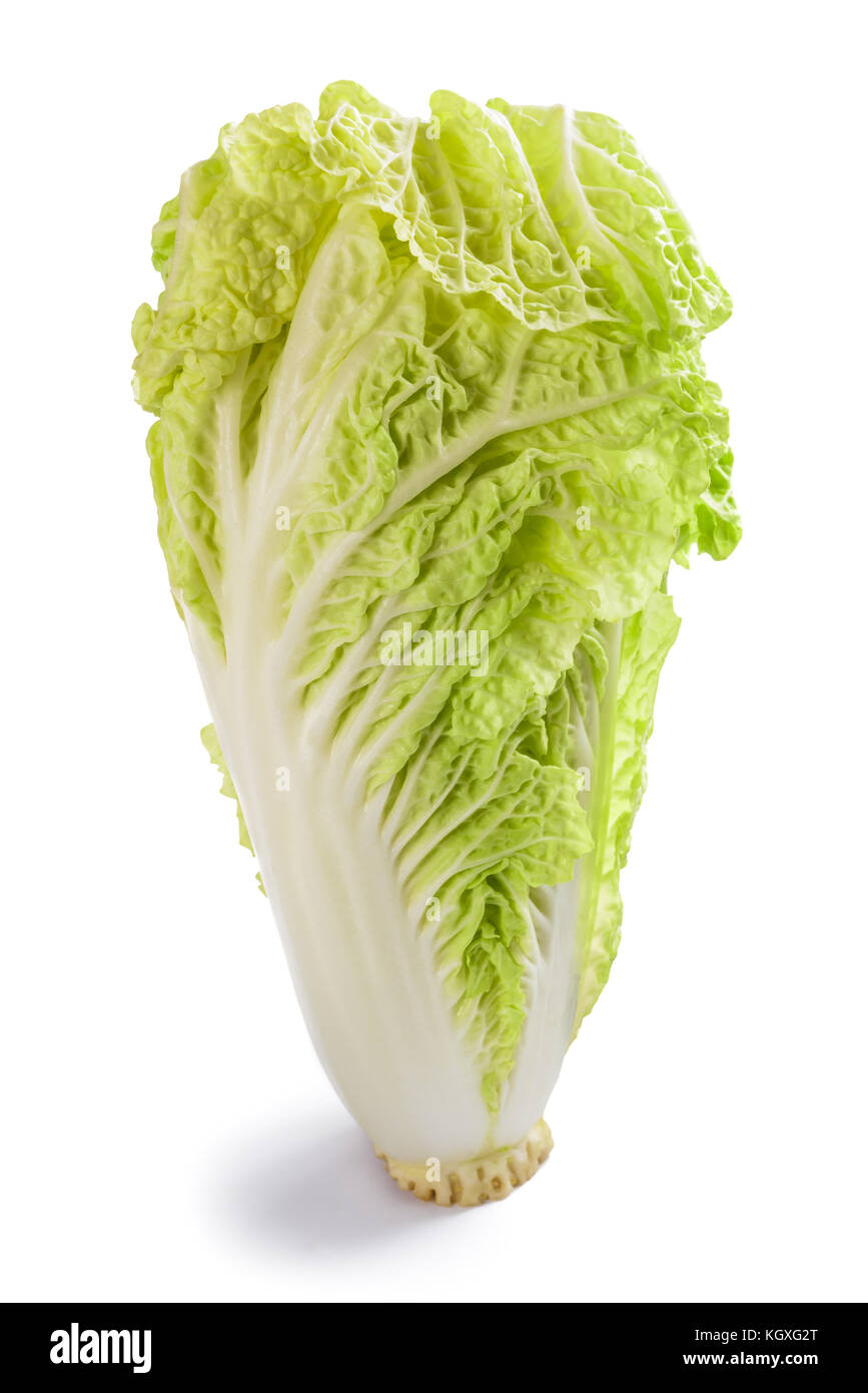 fresh chinese cabbage isolated on  white background Stock Photo