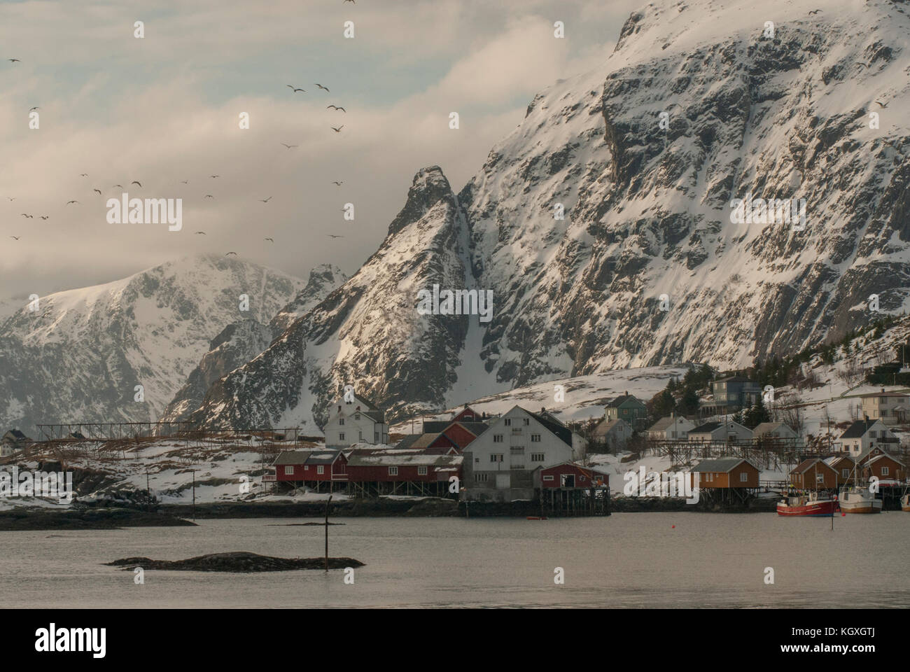 Harbour lofoten hi-res stock photography and images - Page 30 - Alamy