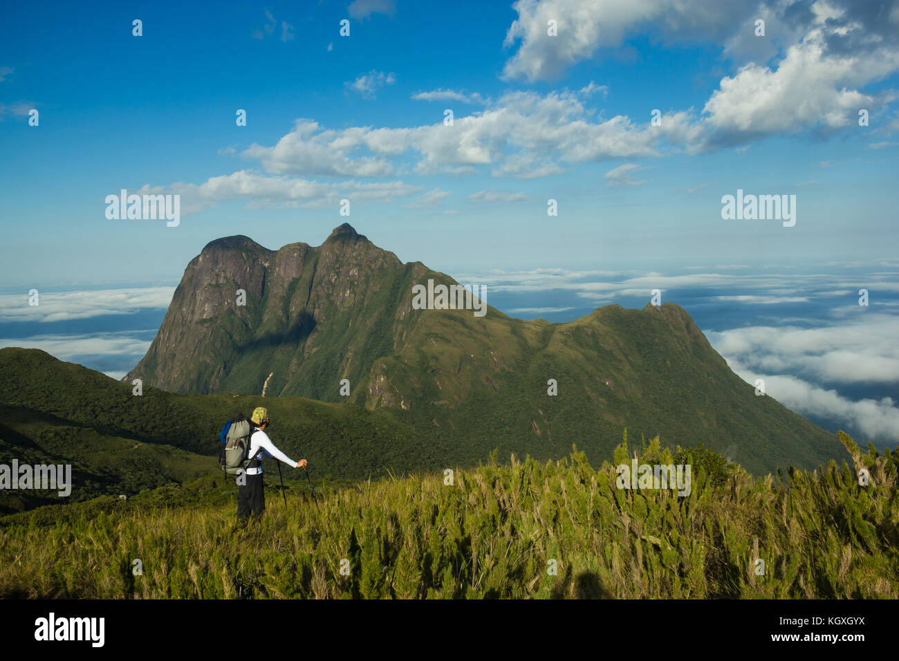 Brazilian Man Hiking with Backpack and Trekking Pole in Pico Parana State Park - Brazil Stock Photo