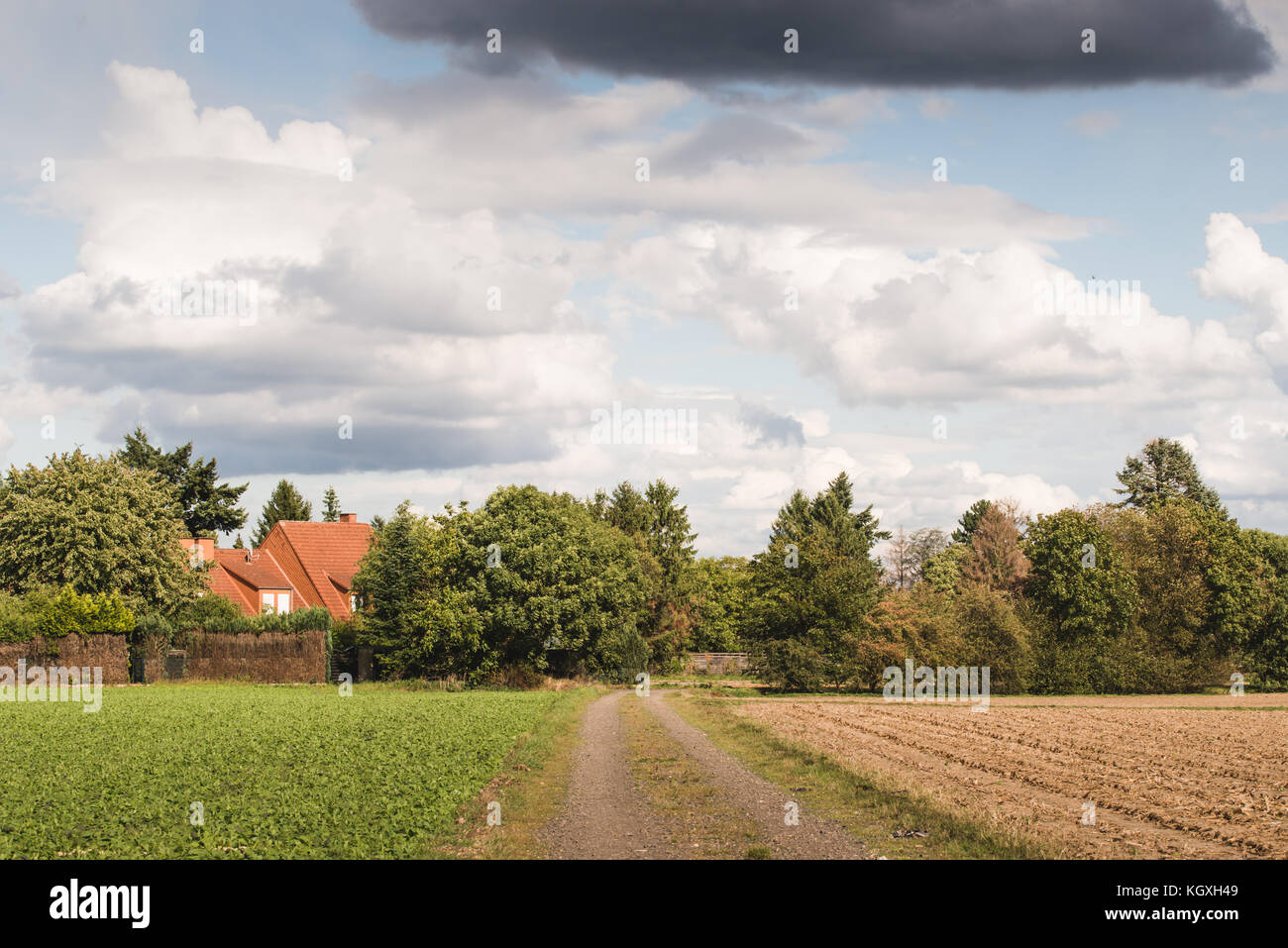 Lower rhine plain hi-res stock photography and images - Alamy