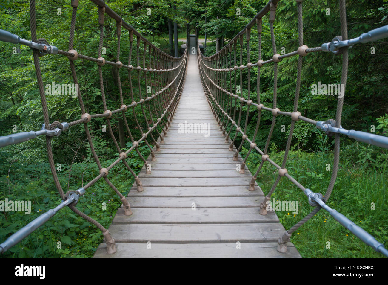 Suspension Bridge Inside A Forest Stock Photo