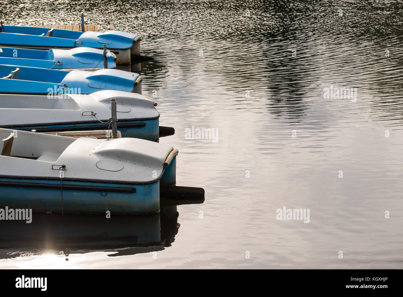 Paddle Boats at a Lake Stock Photo Alamy