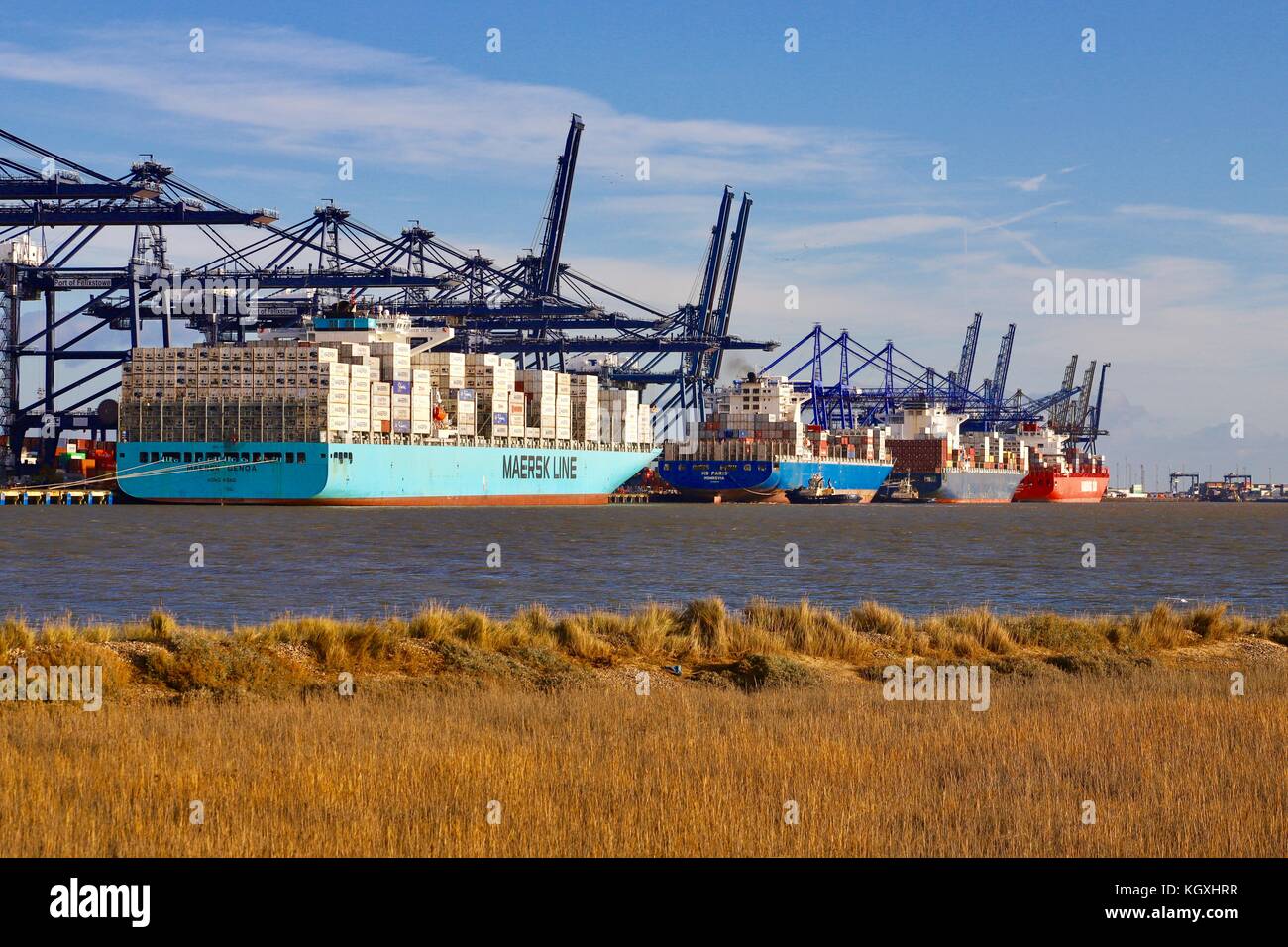 Working cranes at the Port of Felixstowe waiting for the next container ship to load or unload. Seen from across the River Orwell at Shotley Gate. Stock Photo