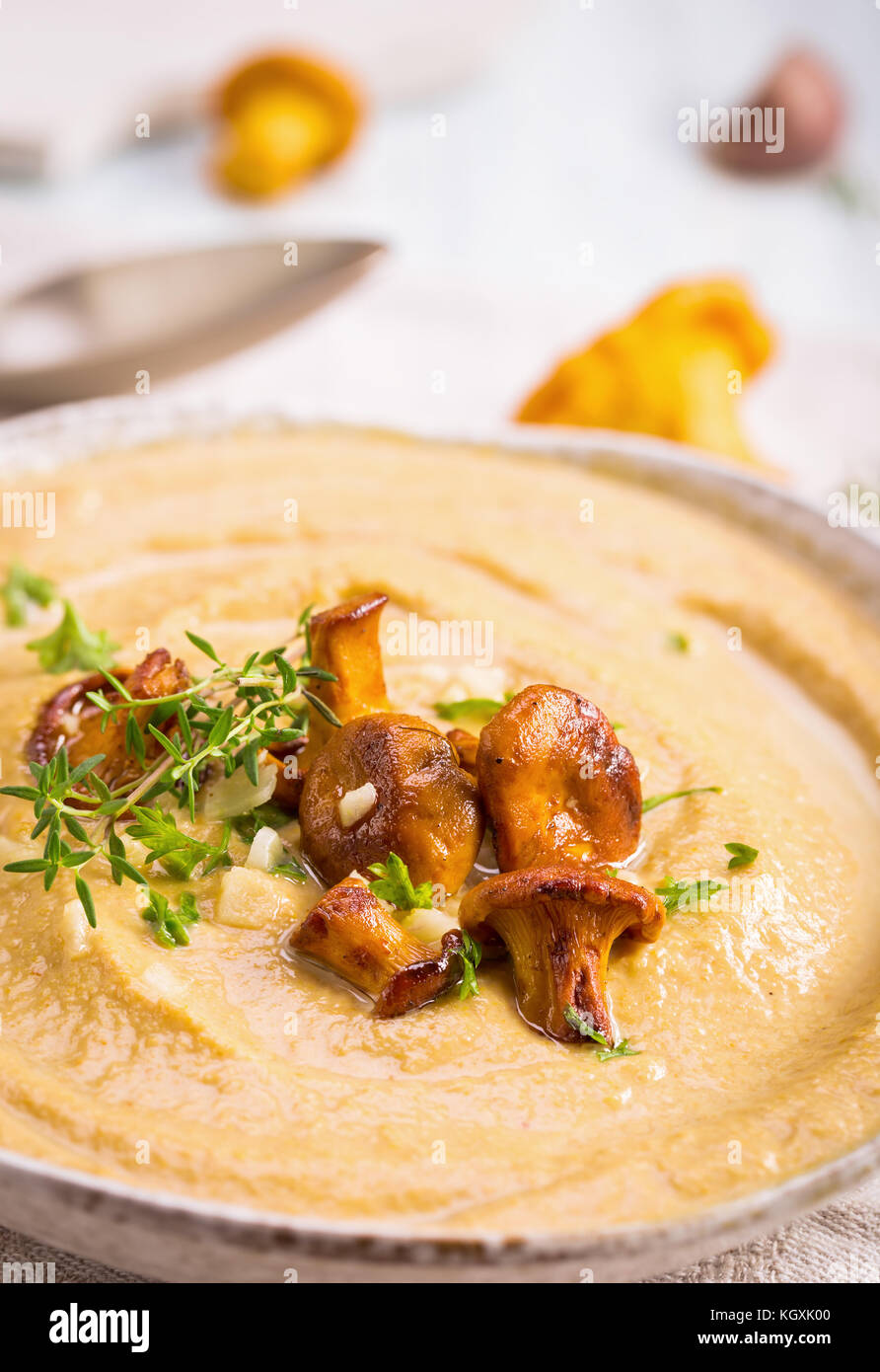 Chanterelle soup closeup Stock Photo Alamy