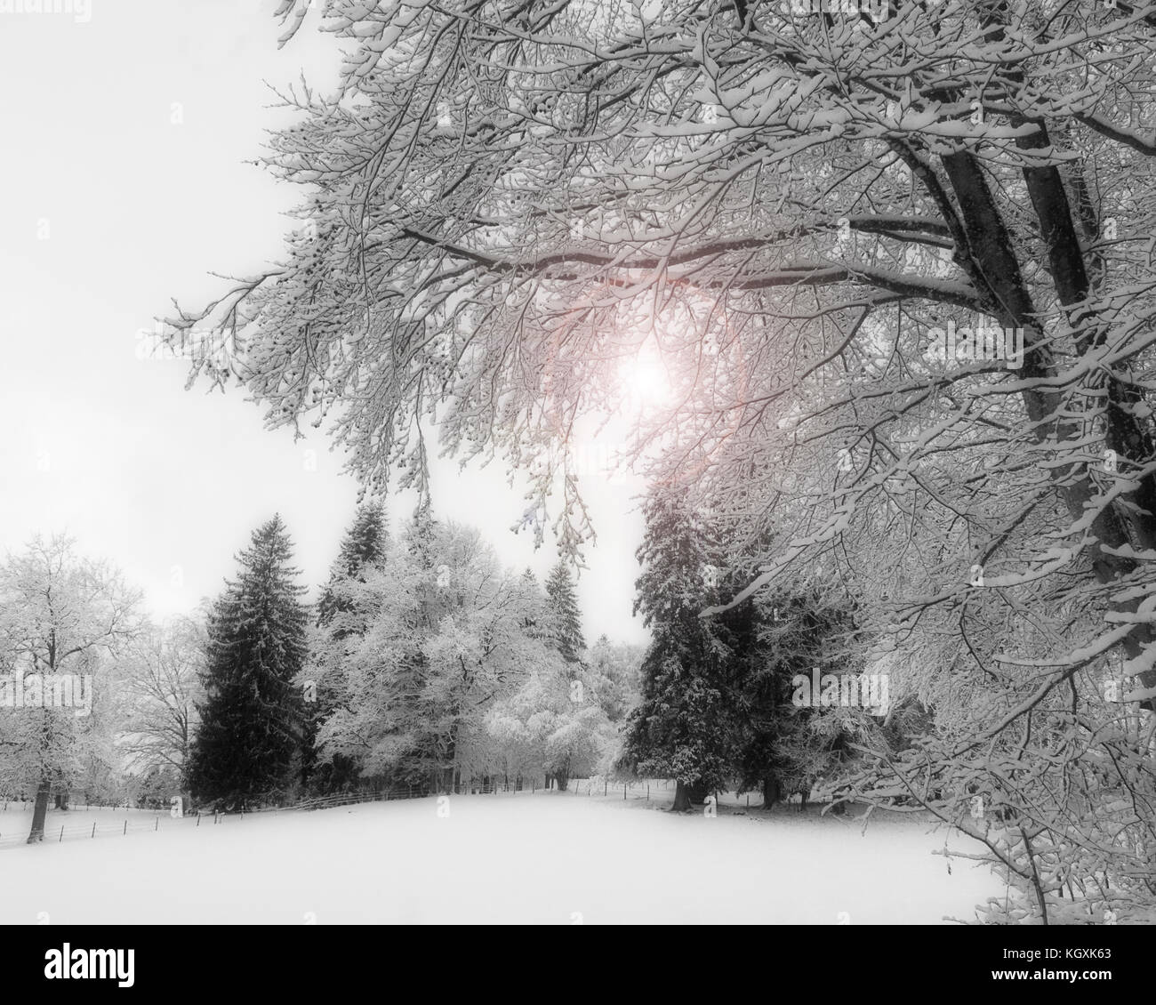 DE - BAVARIA: Wintertime near Murnau, Oberbayern Stock Photo