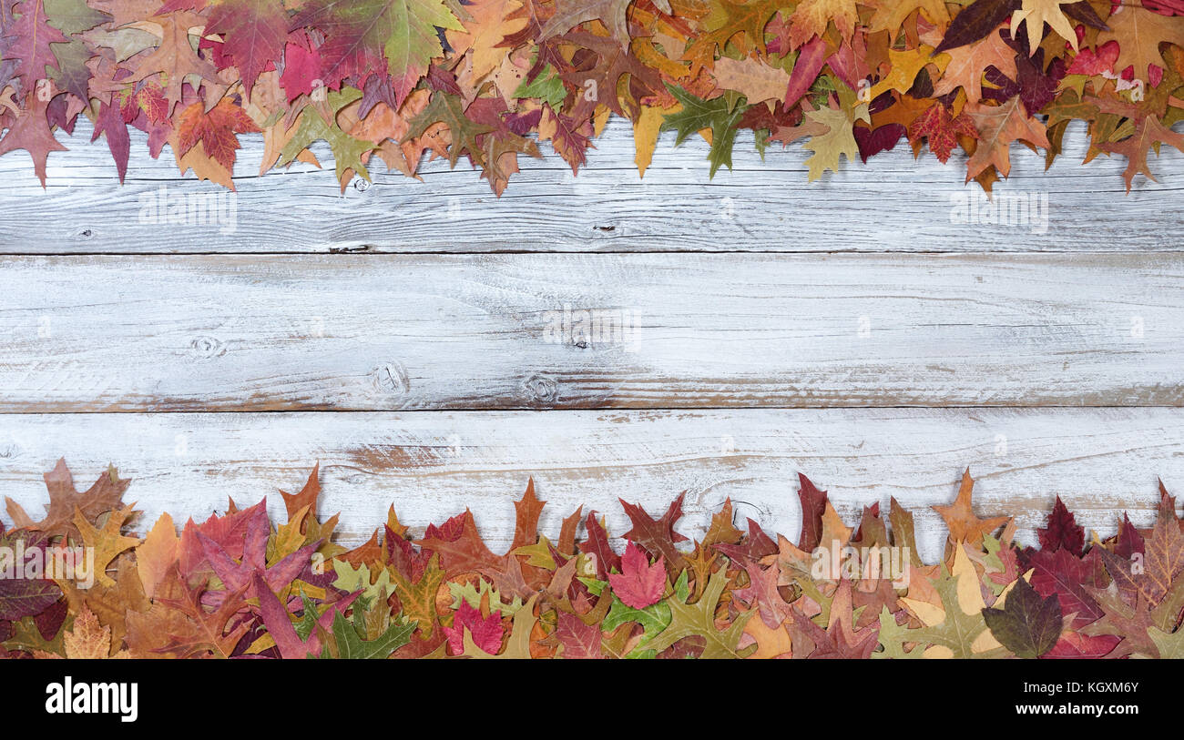 Seasonal Autumn leaf decorations in upper and lower borders on rustic white wooden boards Stock Photo