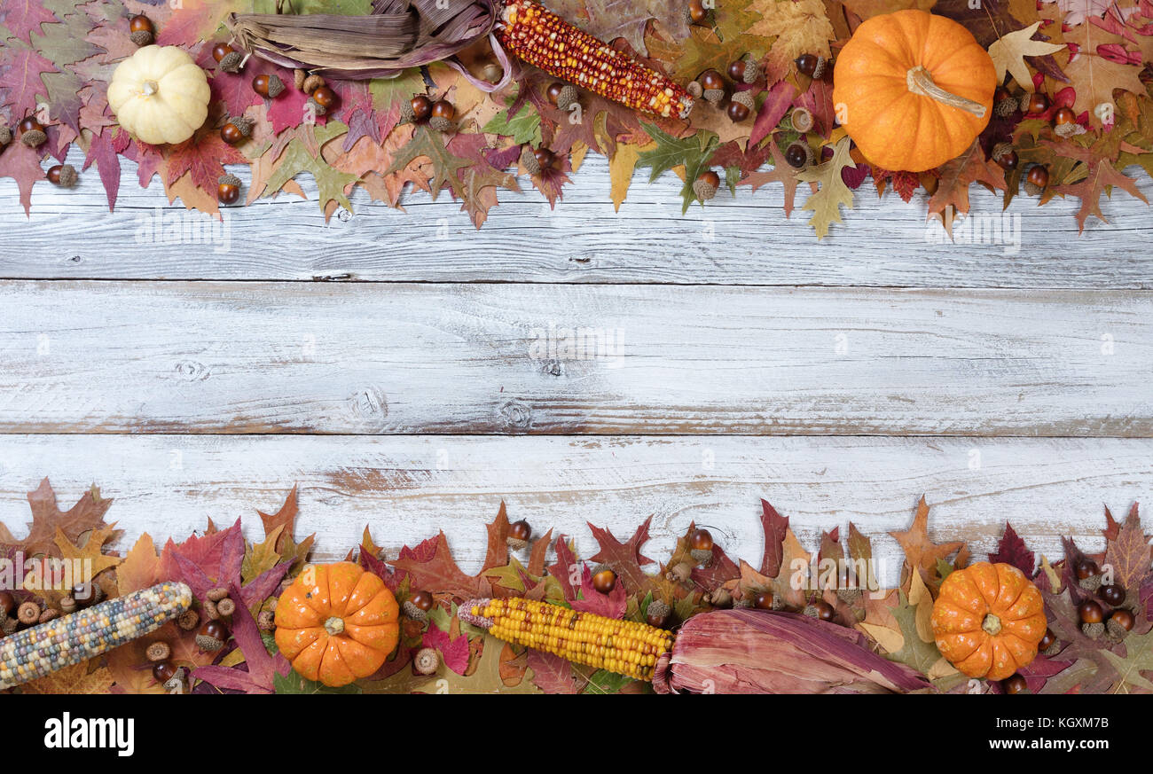 Seasonal Autumn decorations in upper and lower borders on rustic white wooden boards Stock Photo